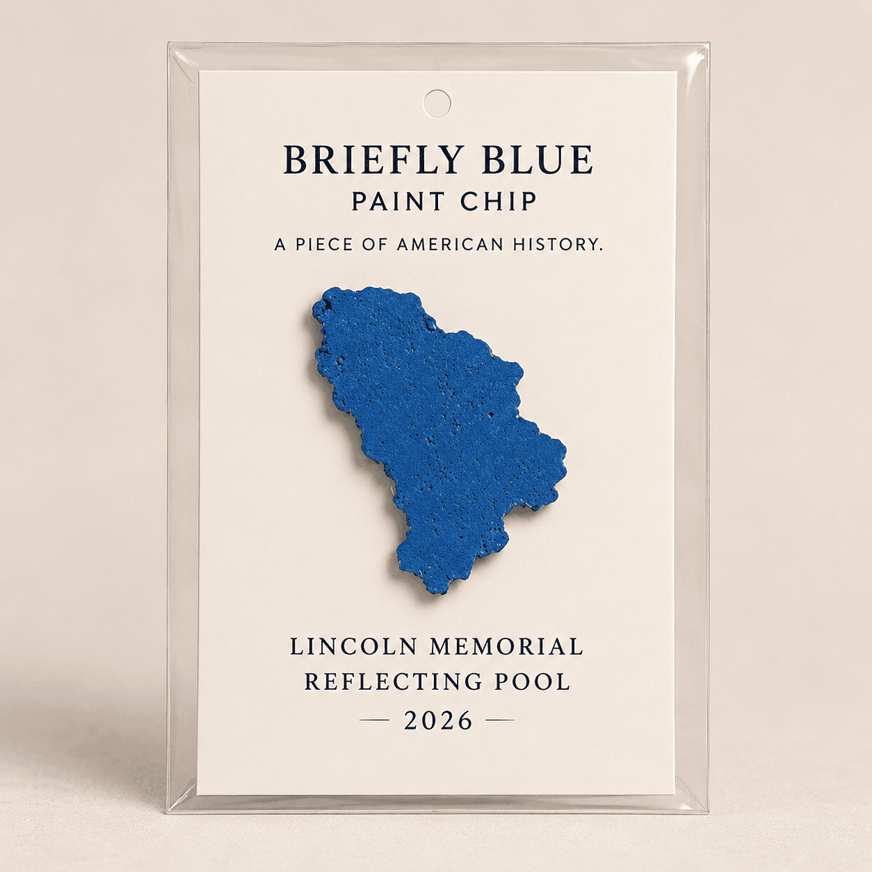 Briefly Blue Paint Chip product
